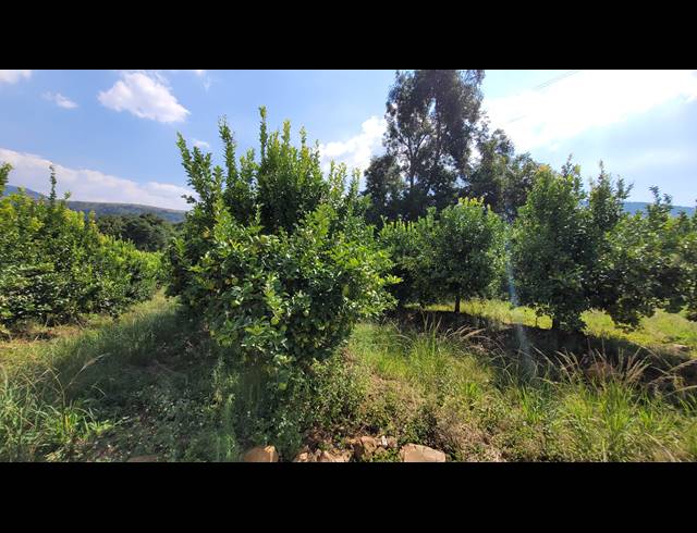 20HA FARM FOR SALE IN NELSPRUIT RURAL